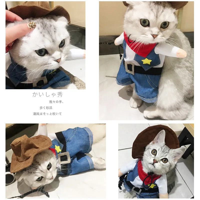Disfraz de Cowboy "El Sheriff" – Estilo Western para Gatos
