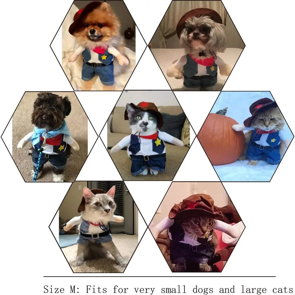 Disfraz de Cowboy "El Sheriff" – Estilo Western para Gatos