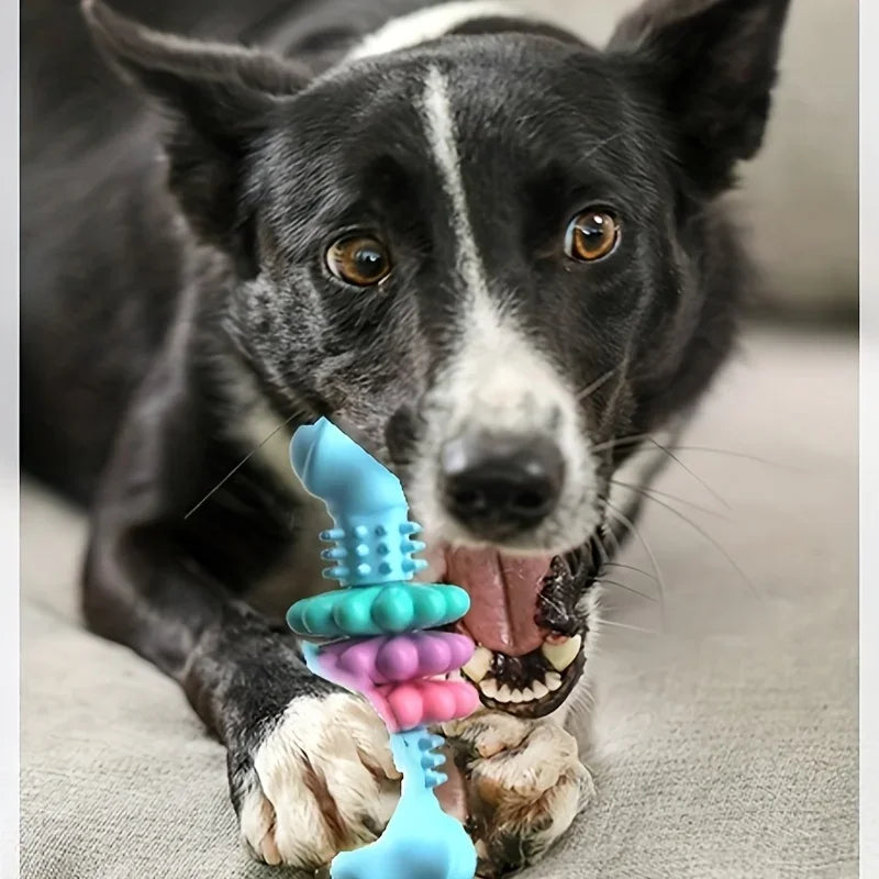 Juguete Mordedor Dental Ultraresistente para Perros
