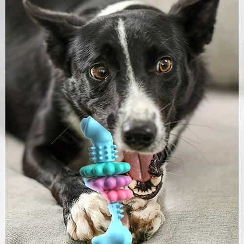Juguete Mordedor Dental Ultraresistente para Perros