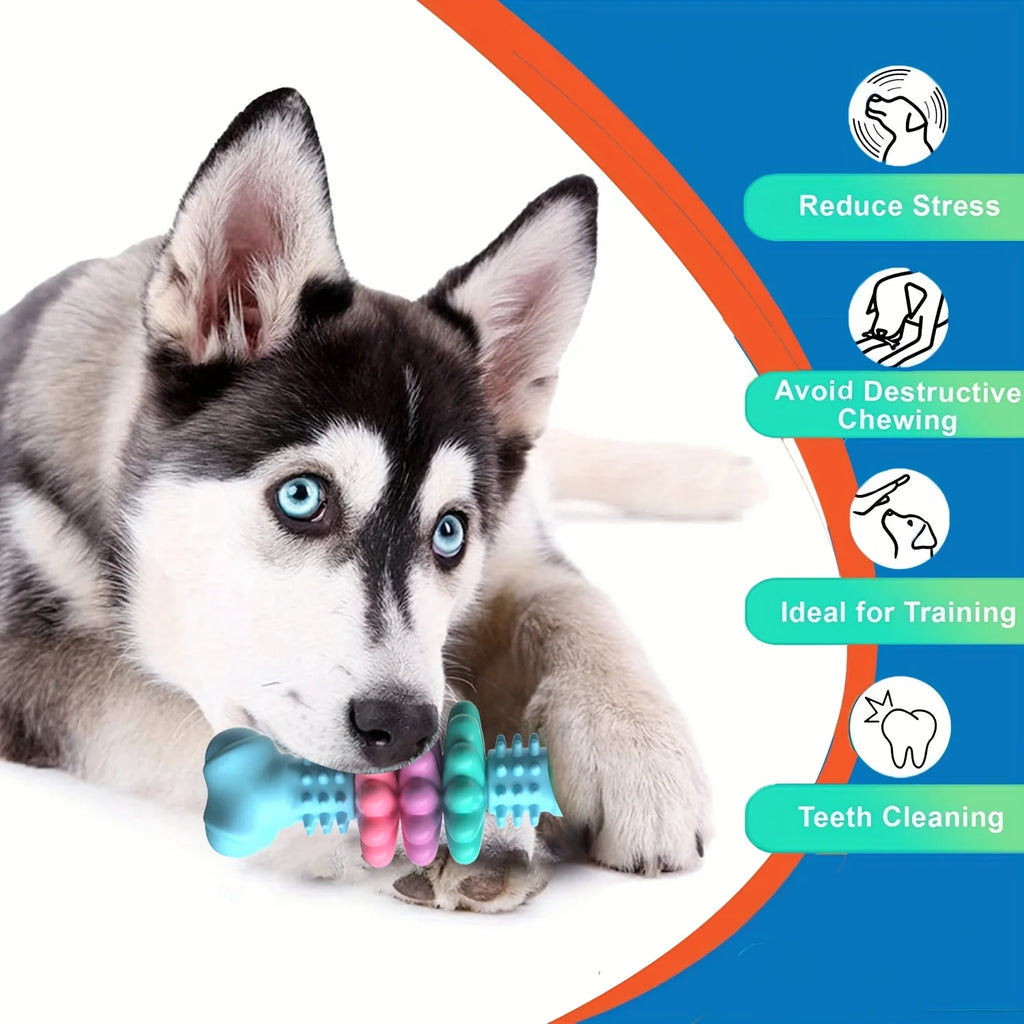 Juguete Mordedor Dental Ultraresistente para Perros
