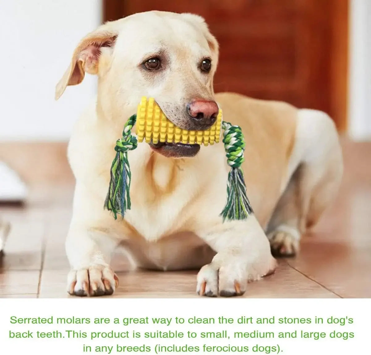 Juguete Mordedor Interactivo "Mazorca Dental" para Perros