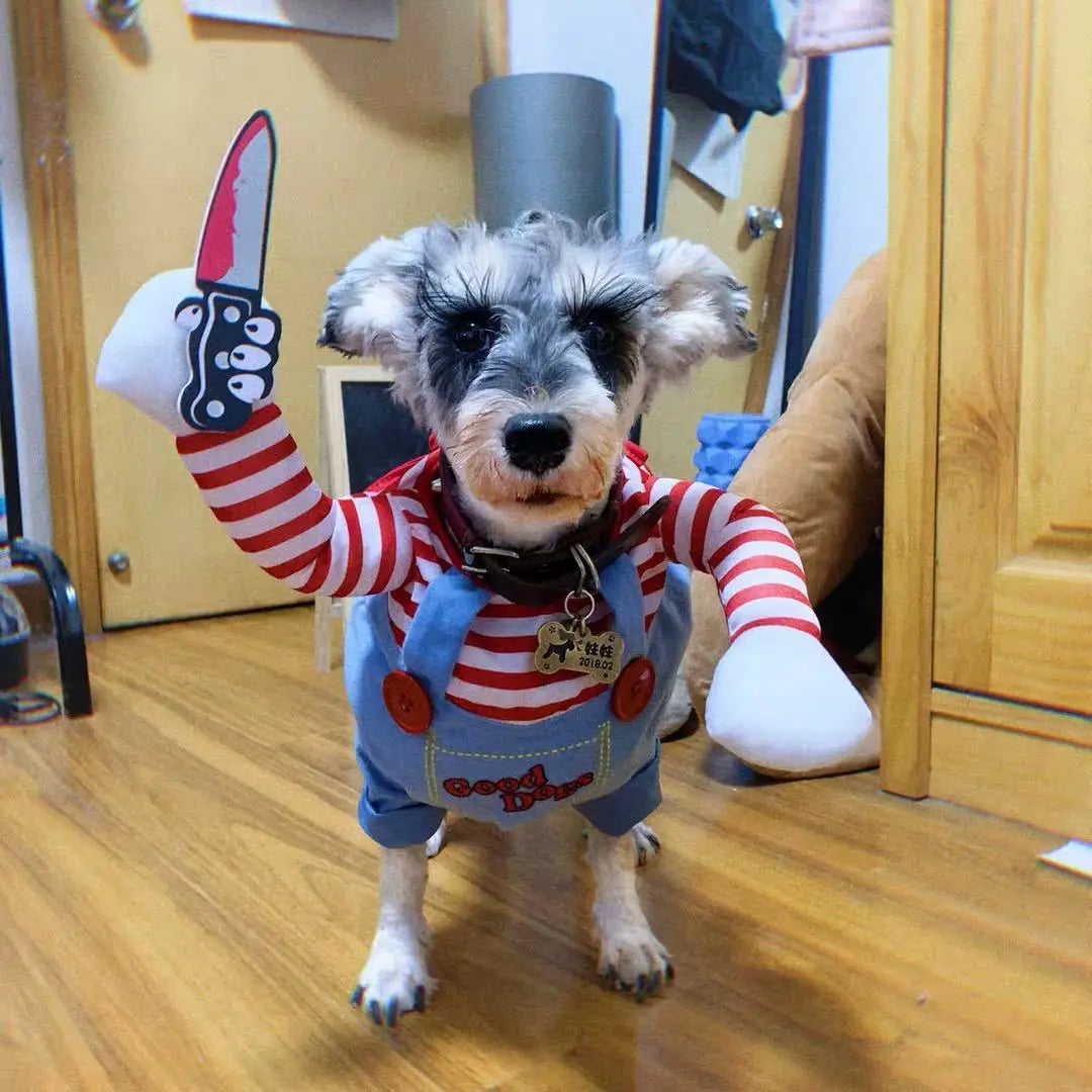 Disfraz "Muñeco Diabólico" para Perros – El Más Divertido para Fiestas